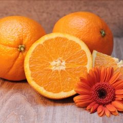 Benefícios da laranja para a saúde