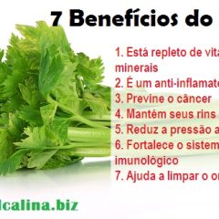 7 Benefícios do Aipo (Salsão) para a Saúde