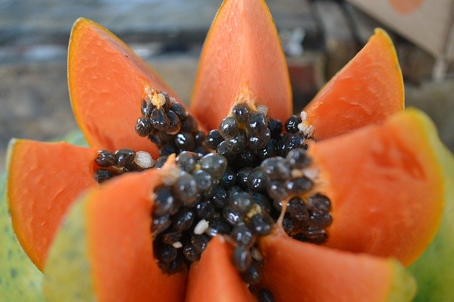 sementes de papaia
