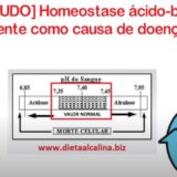 Homeostase ácido-base: Acidose latente como causa de doenças cronicas [ESTUDO]
